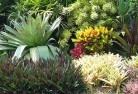 Vantage Pointplanting-garden-and-landscape-design-24.jpg; ?>