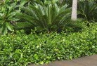 Vantage Pointplanting-garden-and-landscape-design-45.jpg; ?>
